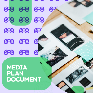 1x Custom Paid Media Plan
